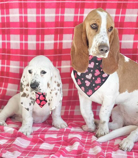 Sparkle Hearts Valentine Bandana