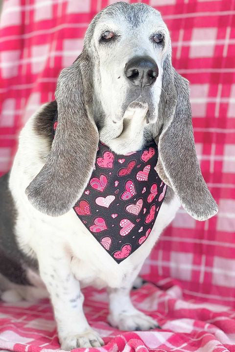 Sparkle Hearts Valentine Bandana