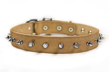 Spiked Punch Collar 1 1/4" Width