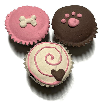 Spring Mini Cupcake Box