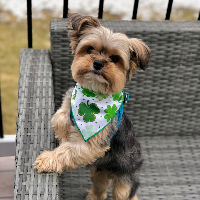 St Patricks Day Bandana