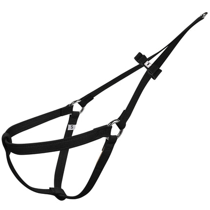 Big Bow Step N Go Harness