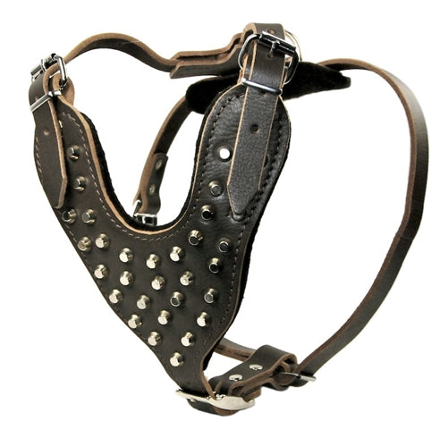 Stud Warrior Harness