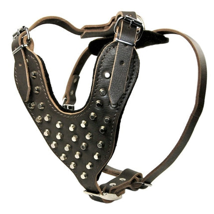 Stud Warrior Harness