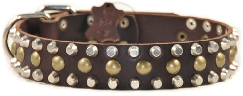 Studly Collar 1 1/2" Width