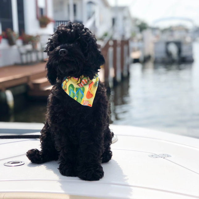 Summer Fun Dog Bandana