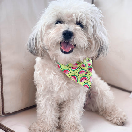 Summer Watermelon Dog Bandana