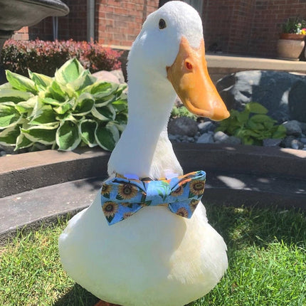 Sunflower Dog Bow Tie