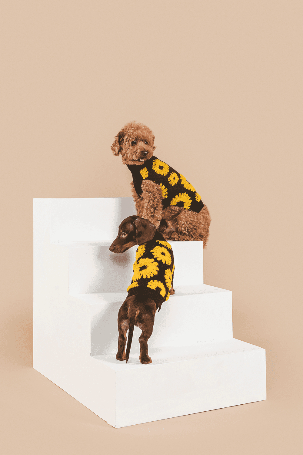 Sunflower Days Sweater