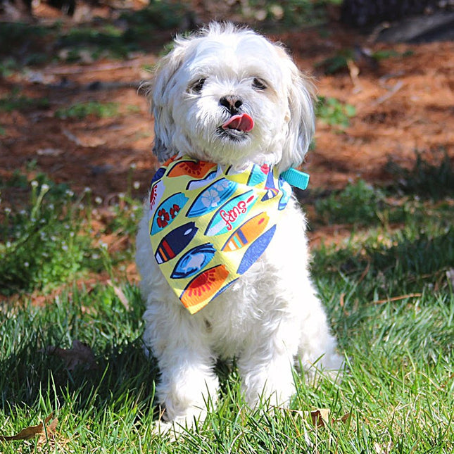 Surf's Up! Dog Bandana