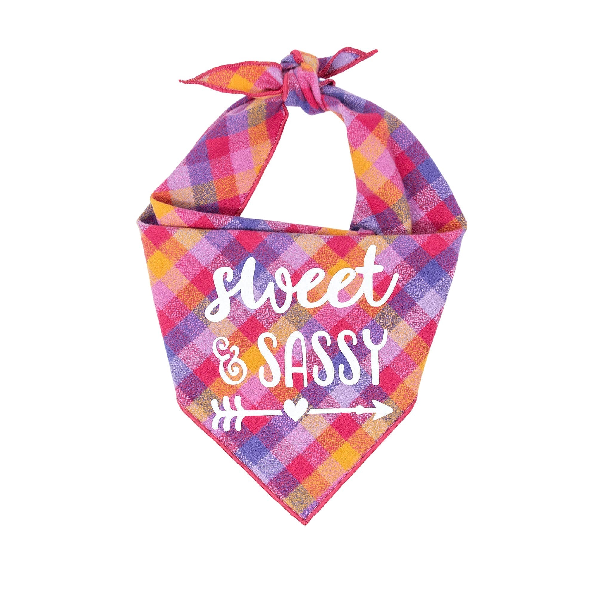 Sweet & Sassy Luxe Flannel Dog Bandana X-Large