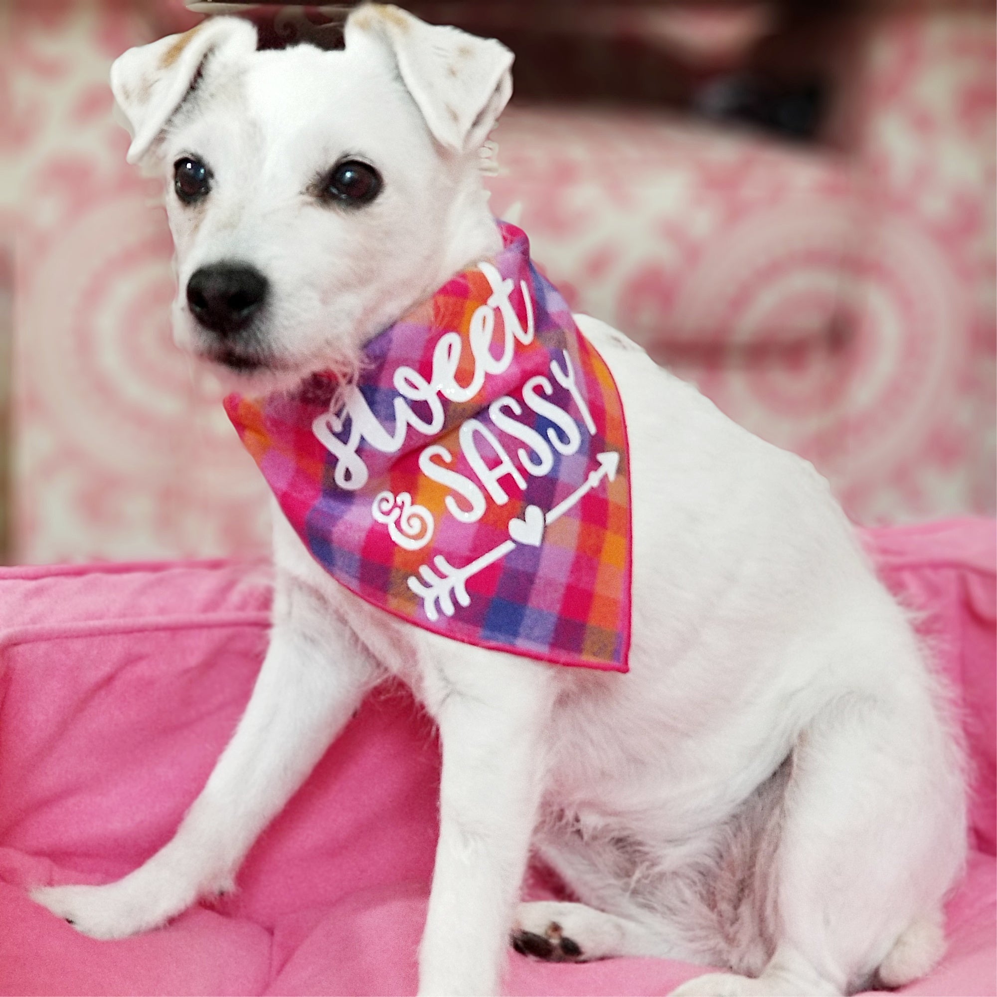 Sweet & Sassy Luxe Flannel Dog Bandana