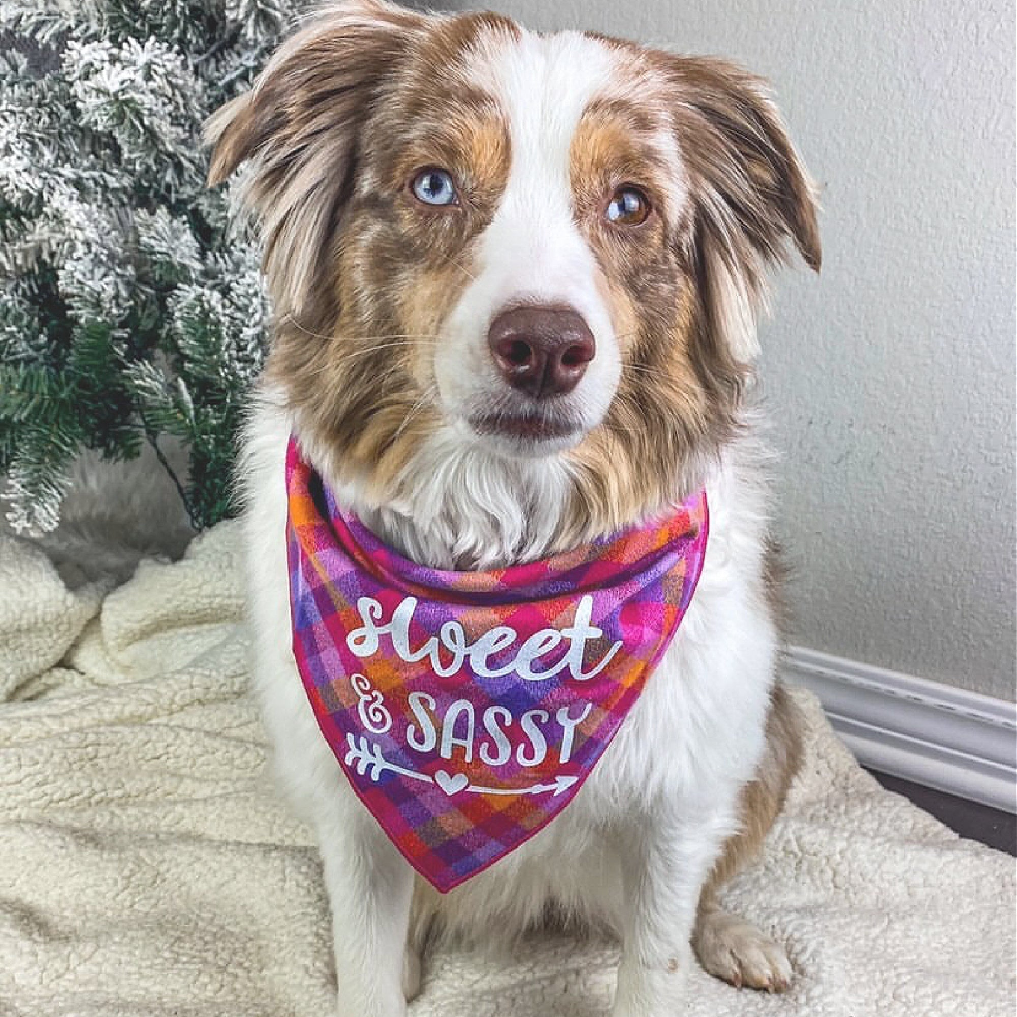 Sweet & Sassy Luxe Flannel Dog Bandana