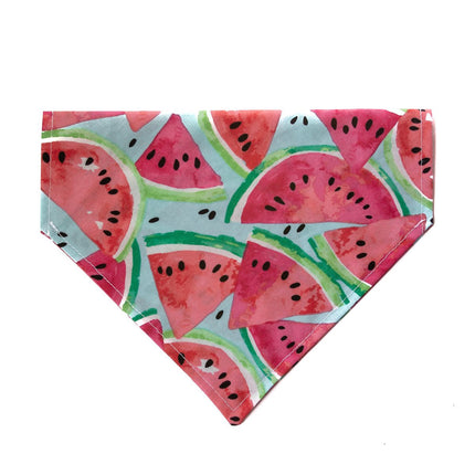 Sweet Watermelon Dog Bandana