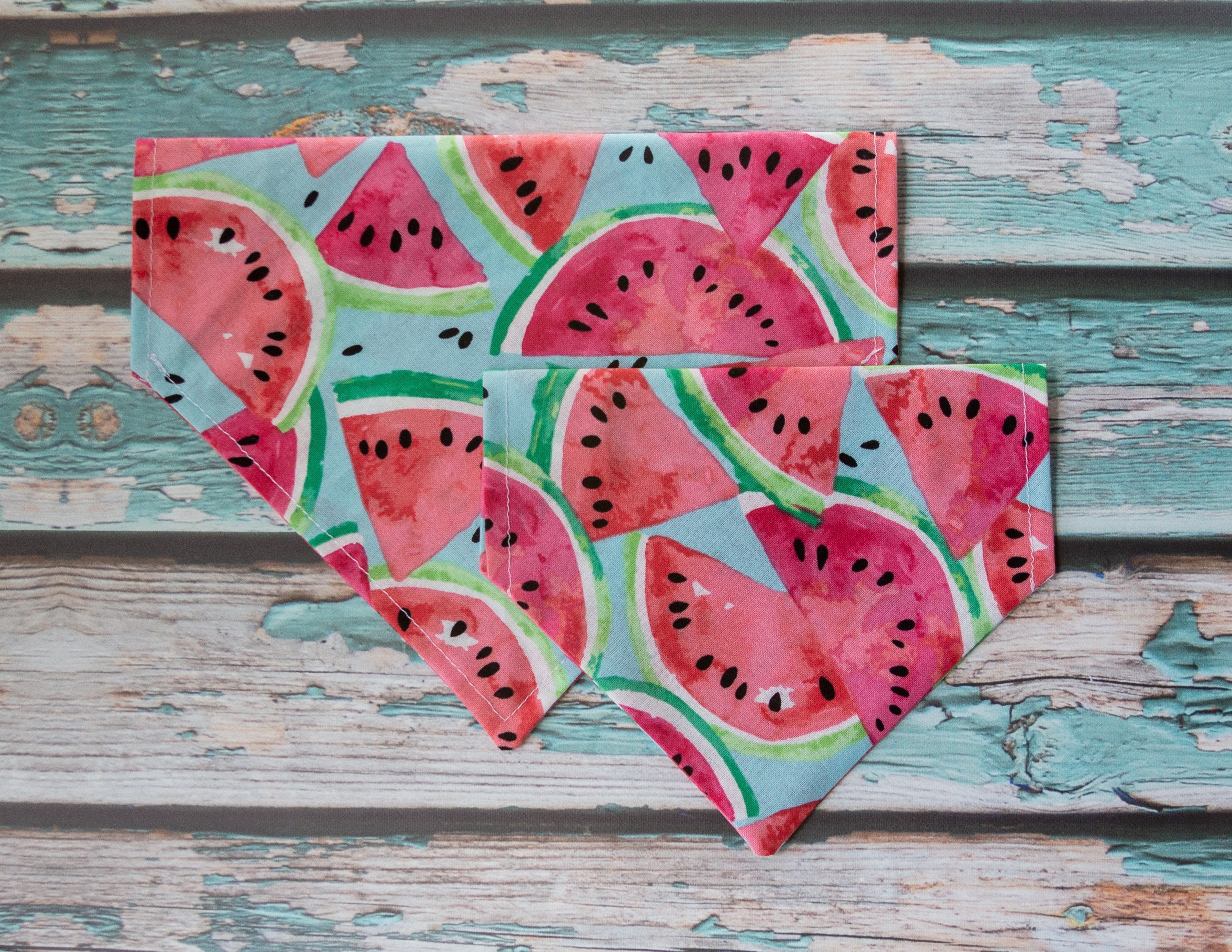 Sweet Watermelon Dog Bandana