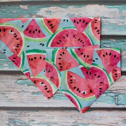 Sweet Watermelon Dog Bandana