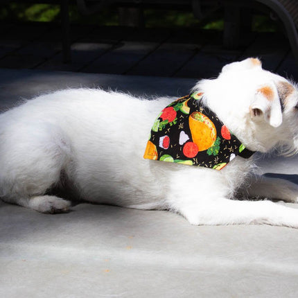 TACO Tuesday Dog Bandana