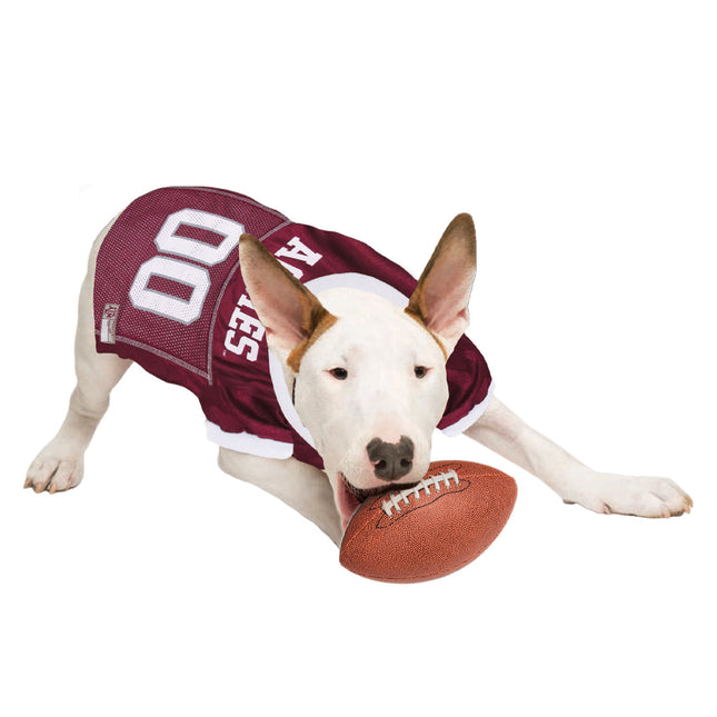 Texas A&M Dog Jersey