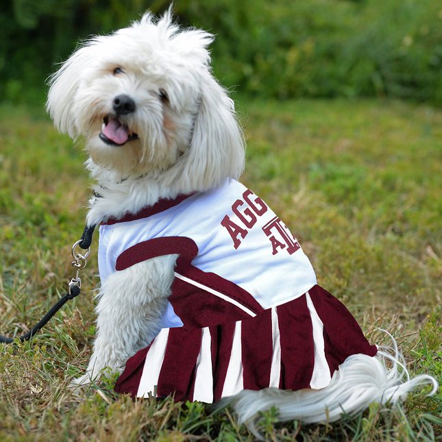 Texas A&M Cheerleader Dog Dress