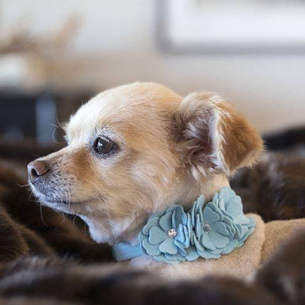 Tinkie's Garden Flower Collar