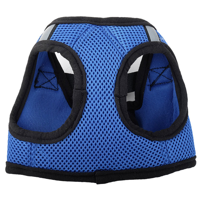 Royal Blue Sidekick Harness