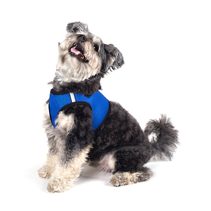 Royal Blue Sidekick Harness