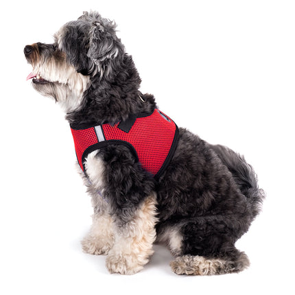 Red Sidekick Harness