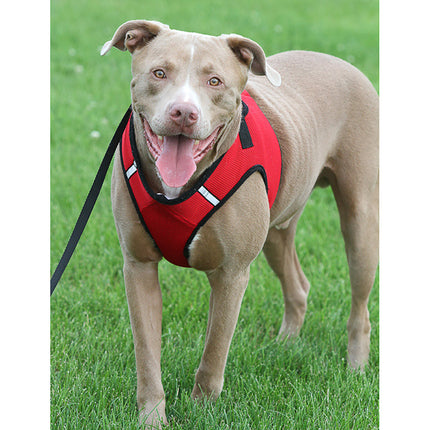 Red Sidekick Harness