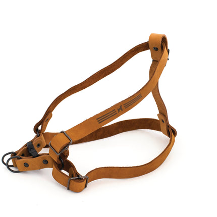 Sport Style Leather Step In Harness