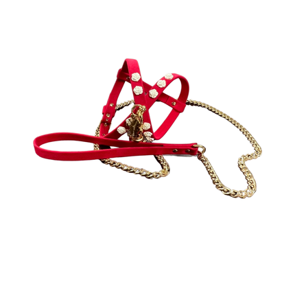 Fashion Dog Harness and Leash Set - Red with White Flowers