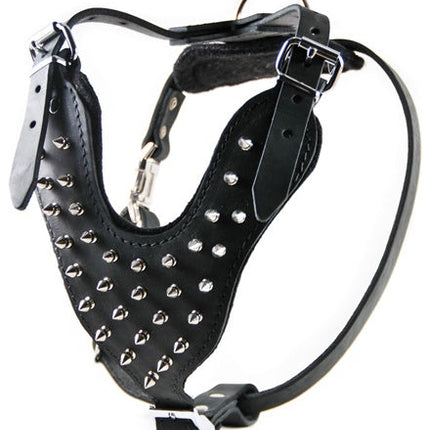 The Blade Harness