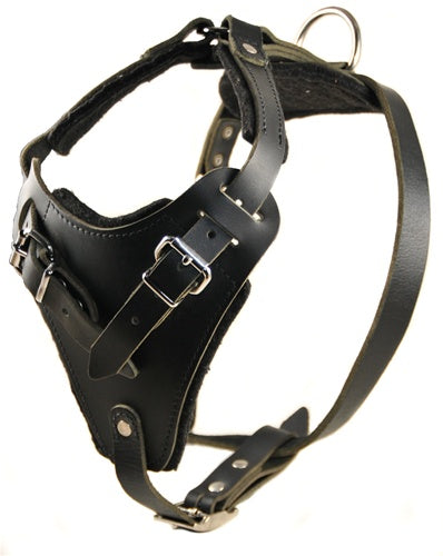 The Boss Harness