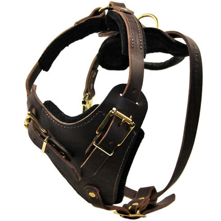 The Boss Harness