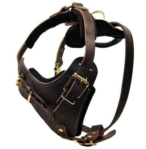 The Boss Harness