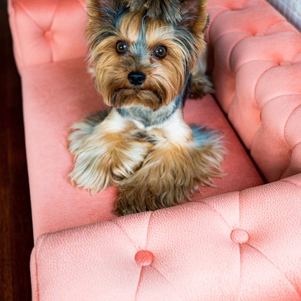 The Royal Luxury Pet Bed in Beige