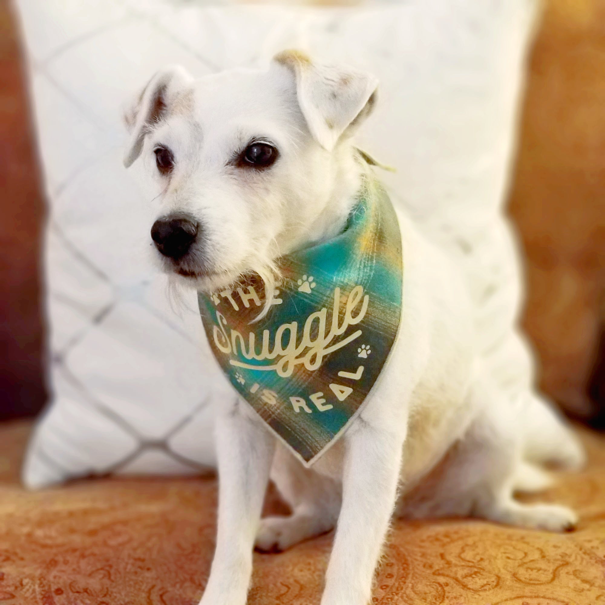 The Snuggle is Real Luxe Flannel Dog Bandana