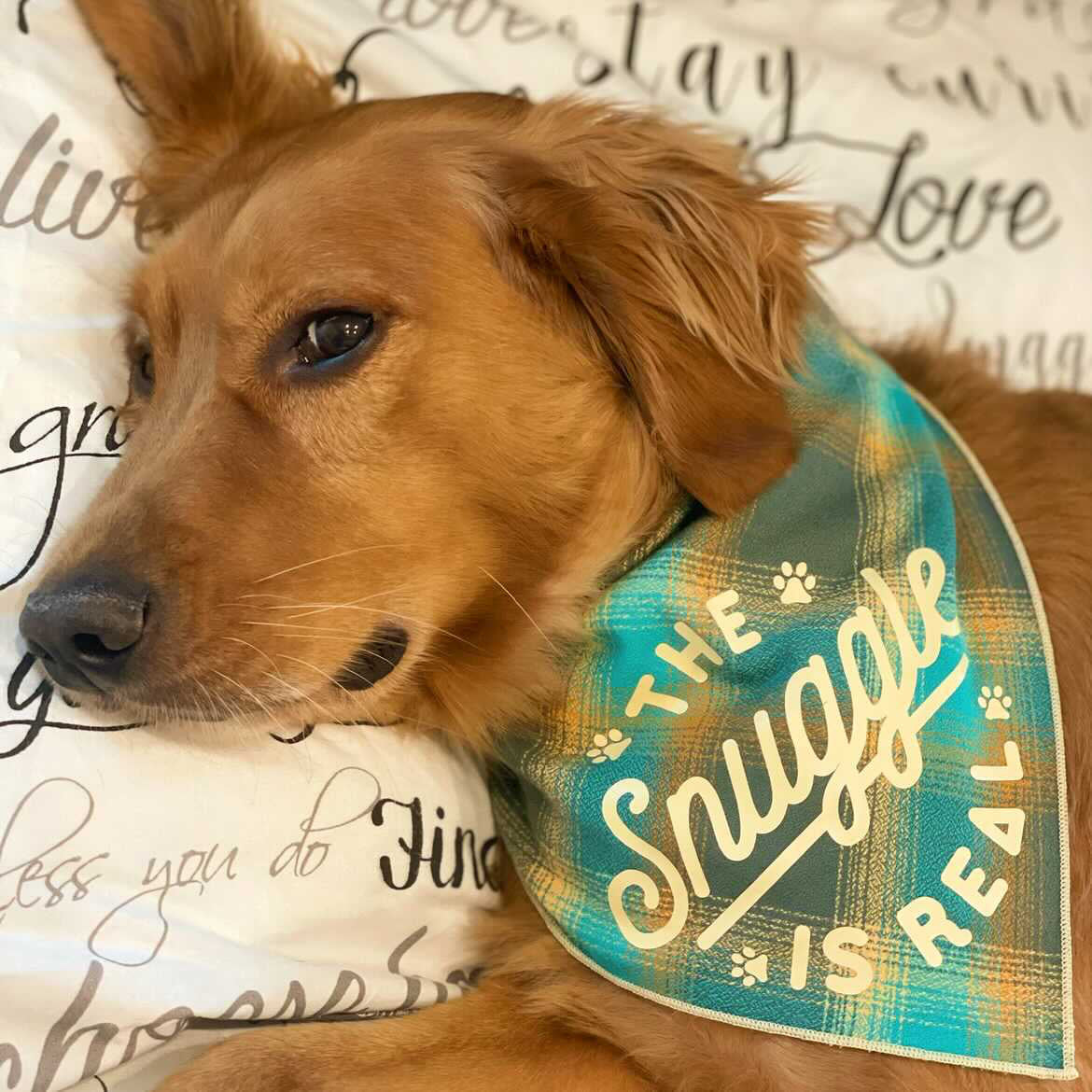 The Snuggle is Real Luxe Flannel Dog Bandana