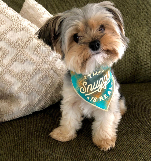 The Snuggle is Real Luxe Flannel Dog Bandana