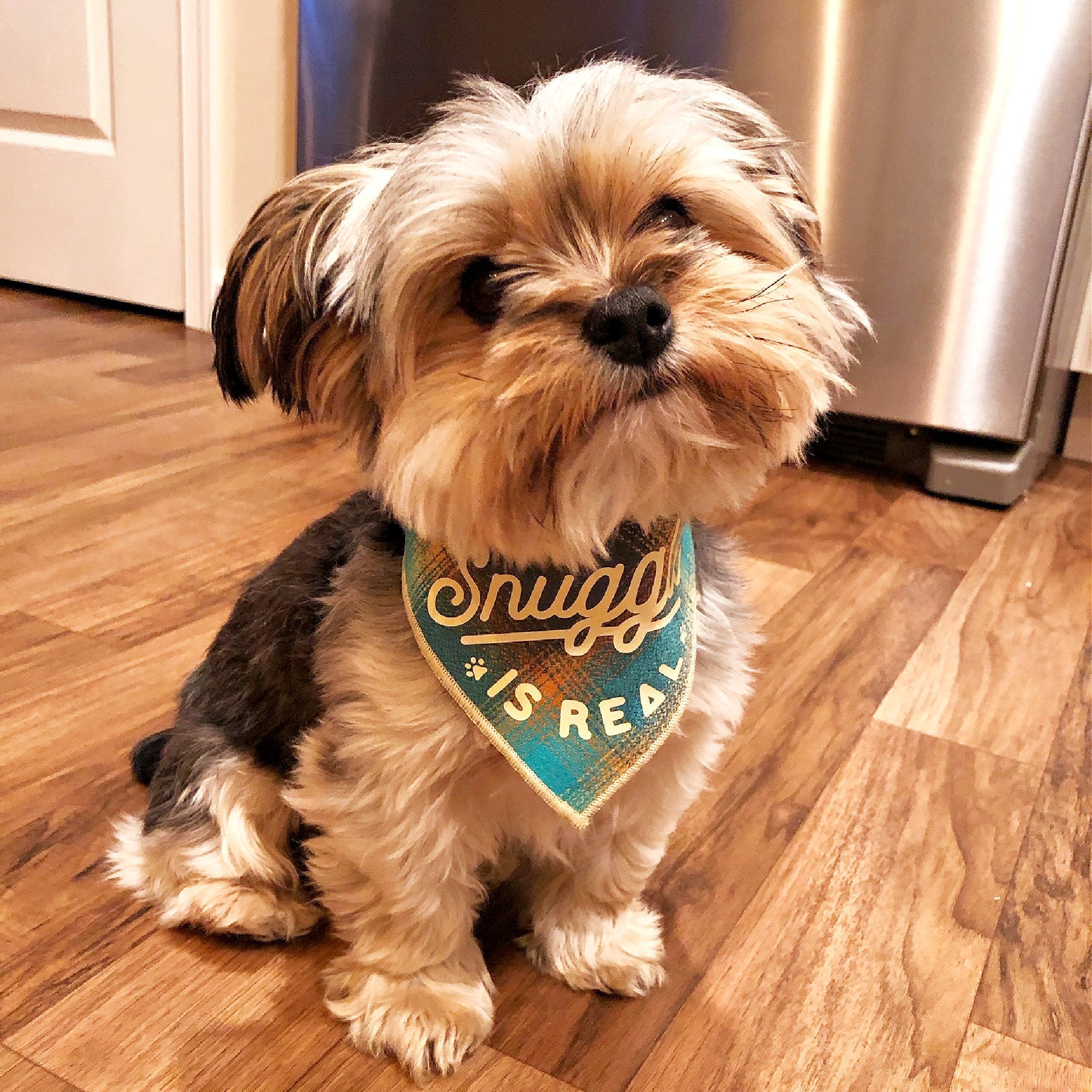 The Snuggle is Real Luxe Flannel Dog Bandana