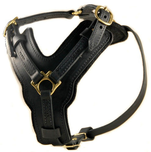 The Victory Harness