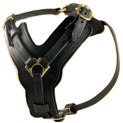 The Victory Harness