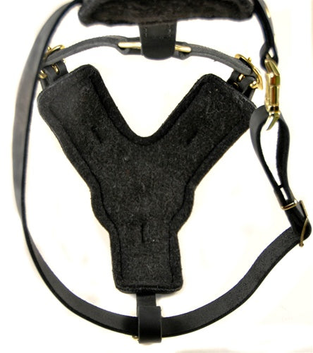 The Victory Harness