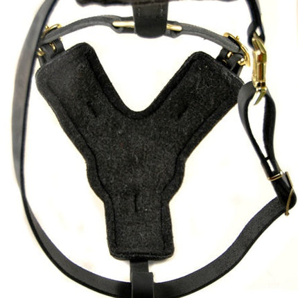 The Victory Harness