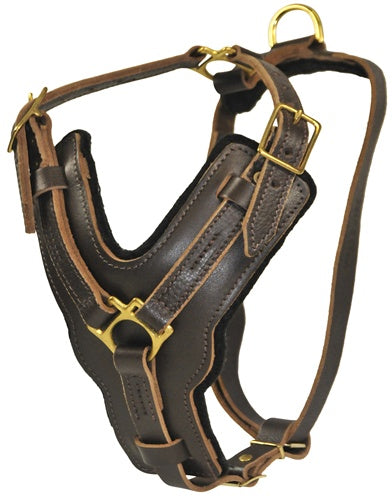 The Victory Harness