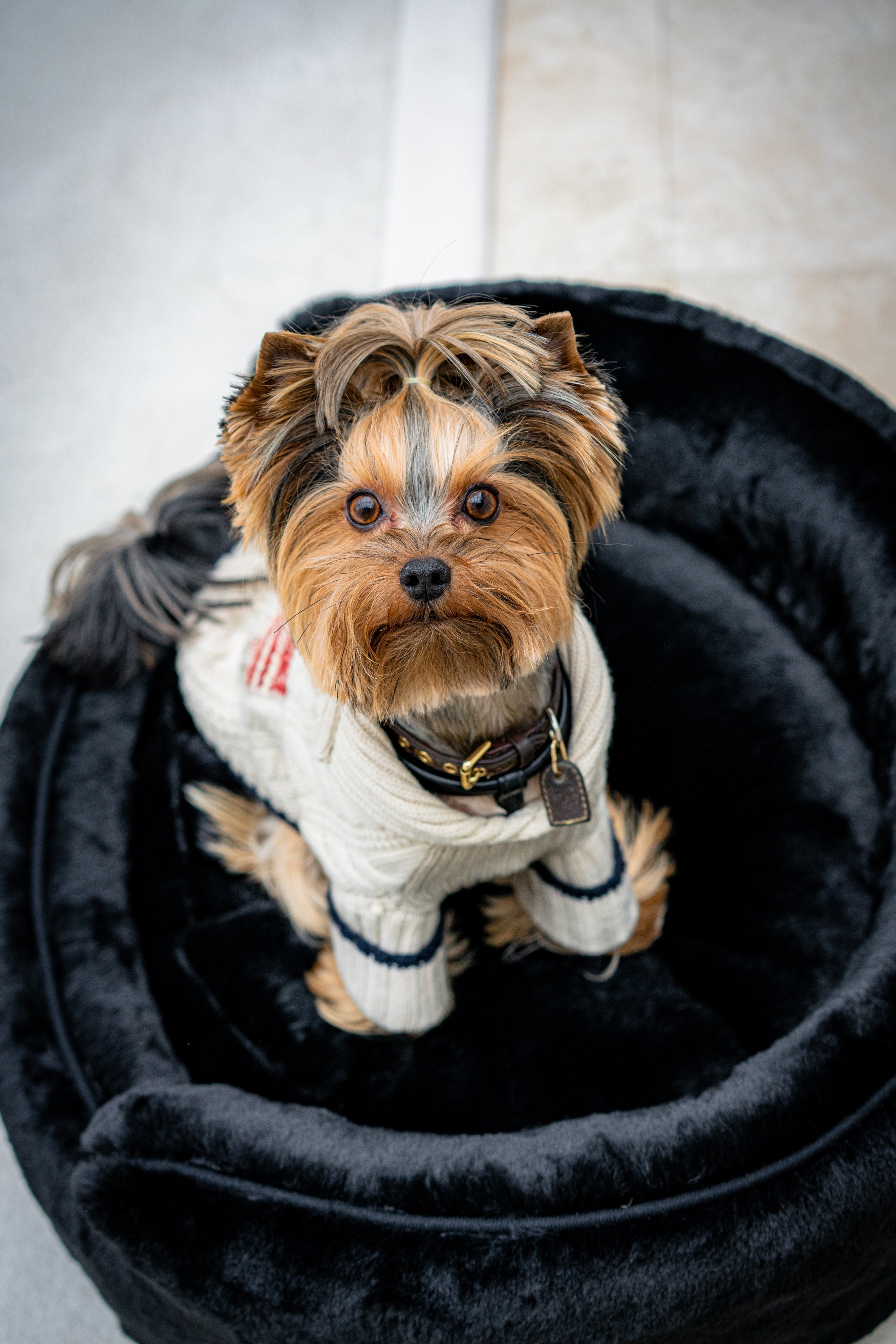 The Yin & Yang Super Soft Luxury Pet Bed