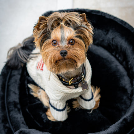 The Yin & Yang Super Soft Luxury Pet Bed