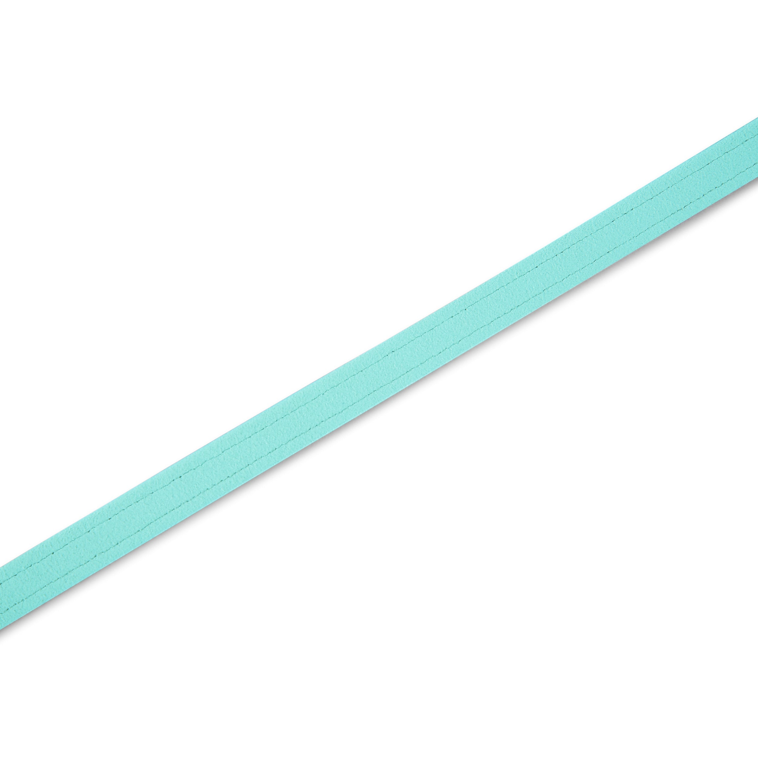 Tiffi Blue Solid Leash