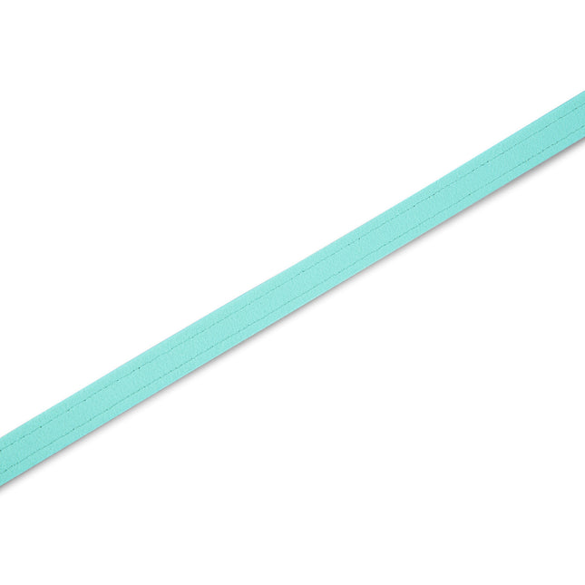 Tiffi Blue Solid Leash