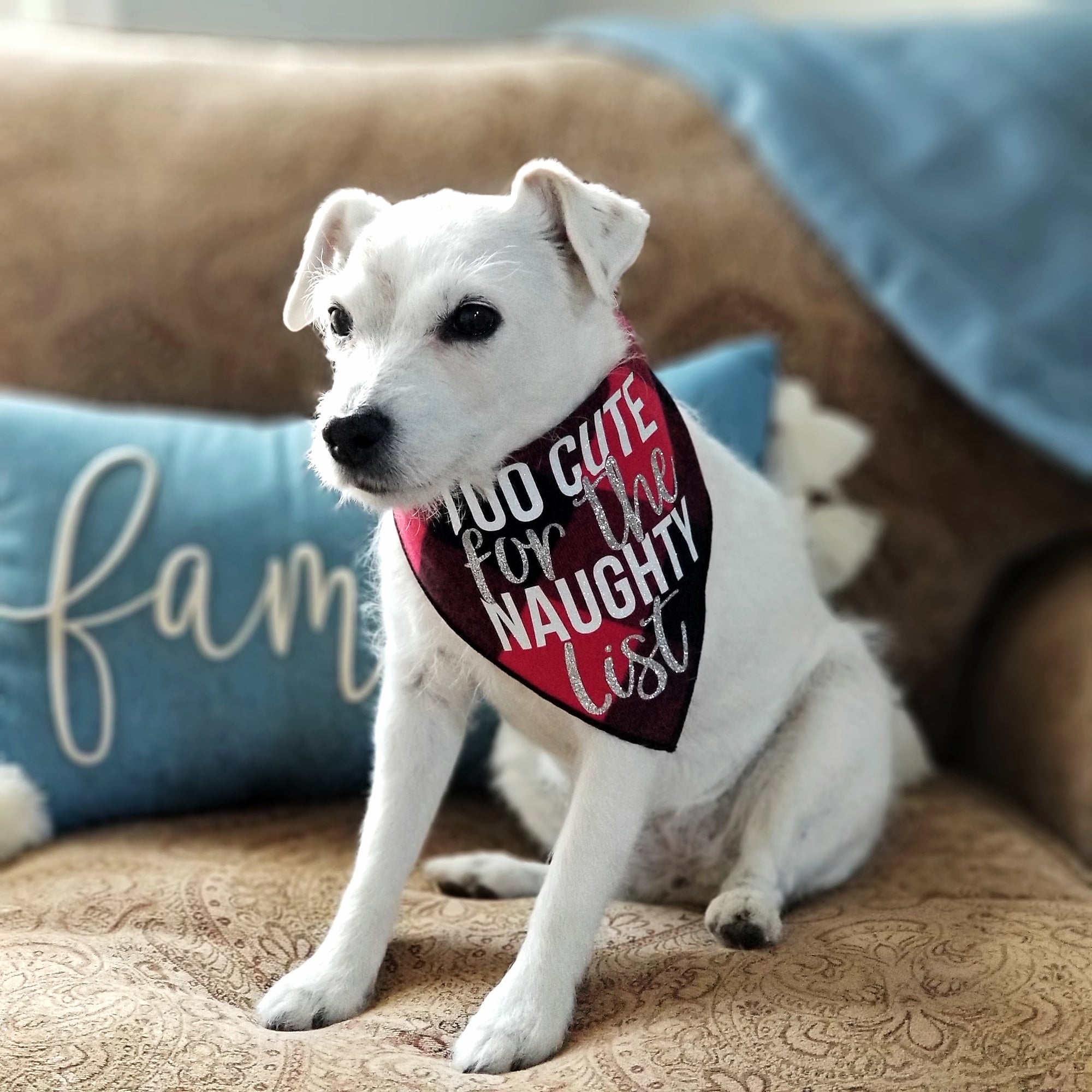 Too Cute for the Naughty List Christmas Dog Bandana