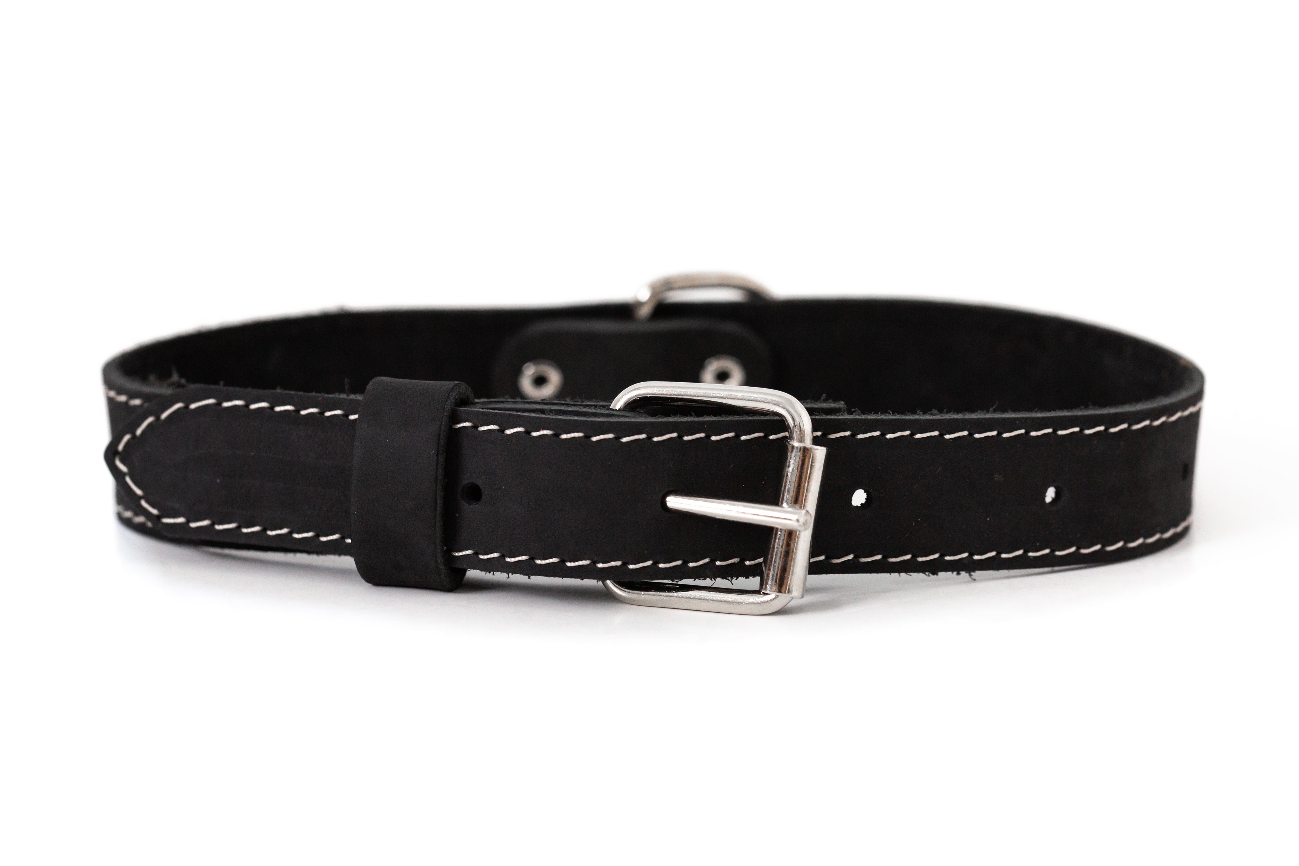 Traditional Leather Dog Collar